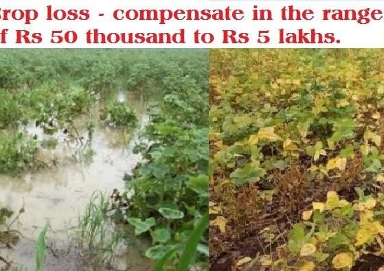 Govt to compensate Dharwad farmers facing crop loss due to heavy rain