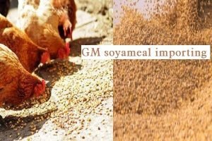 SOPA opposed poultry industry's request to extend GM soyameal importing period
