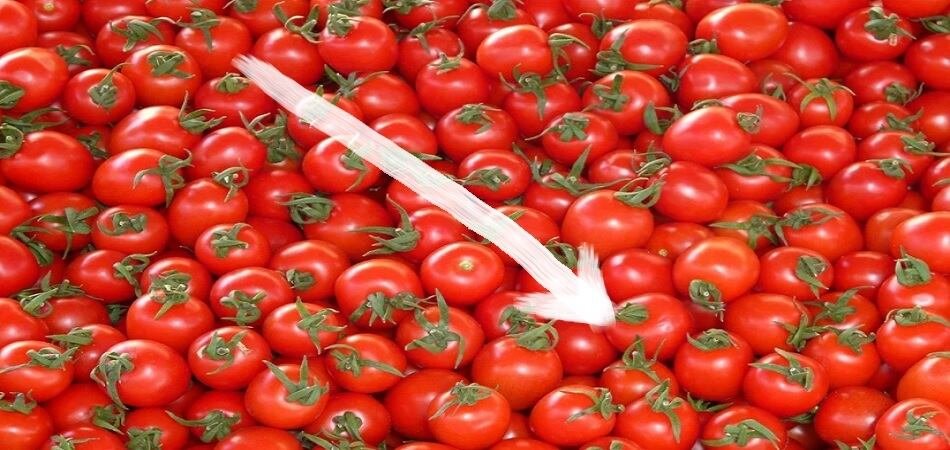 Skyrocketing Tomato prices, burdened people fell dramatically on Saturday