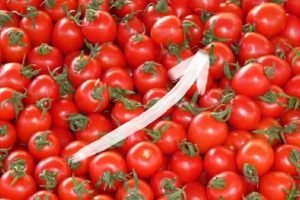 Tomatoes prices will remain higher for next two months - Report