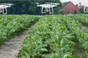 Centre to finalise guidelines for use of drones to apply fertiliser to crops