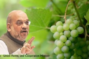 Govt to issue globally valid certification to organic farmers - Amit Shah