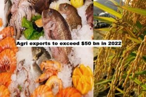 Agri exports grew to $31.05 bn and anticipated to exceed $50 bn in 2022