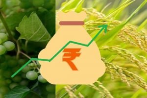 Budget 2022-23 Govt likely to boost farm loan target to ₹18 lakh crore