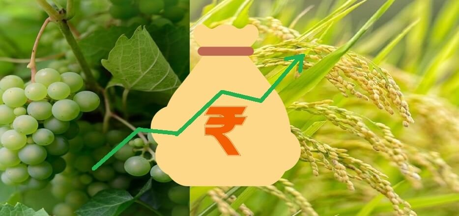 Budget 2022-23 Govt likely to boost farm loan target to ₹18 lakh crore