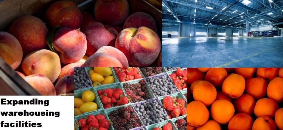 Due to increase in Omicron, fresh fruit importers expanding warehousing facilities