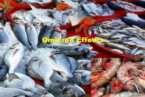 Omicron instances- India's seafood export unlikely to meet $7.8 billion target