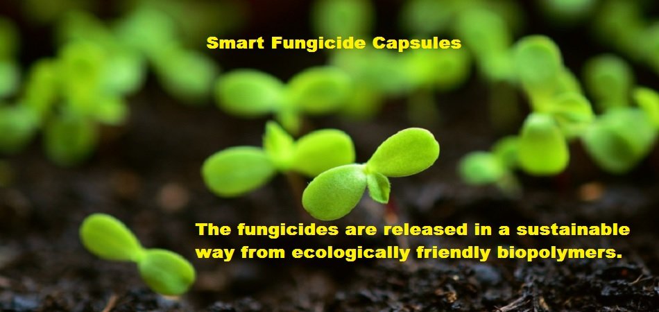 Smart fungicide capsules to minimize soil pollution, improve crop production