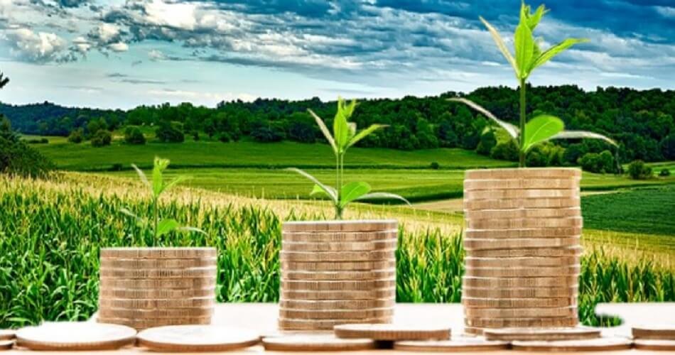 Despite climatic challenges, Bayer Cropscience makes net profit ₹84.8cr Q3 2021-22
