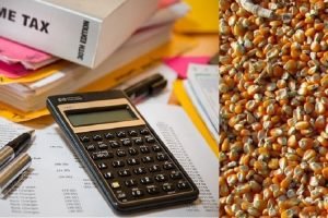 GST on Agriculture - seeds are not agricultural produce, should be subject to GST