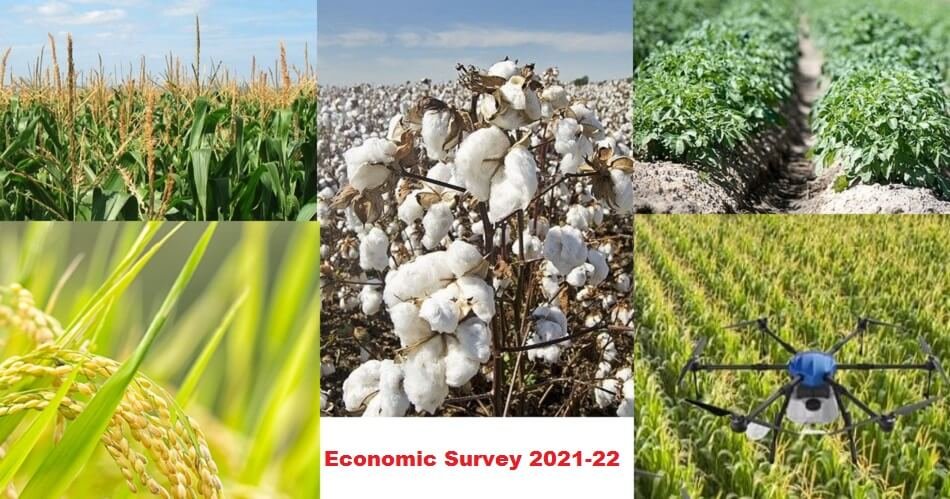 Govt should prioritize crop diversification Agri allied sectors use of alternative fertilizers - Economic Survey