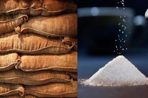 Sugar production is up by 5.6% as of January 31, 2021-22 ISMA