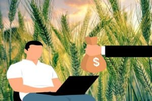 Agritech start-up FarMart raised ₹244 crore in Series B round led by General Catalyst