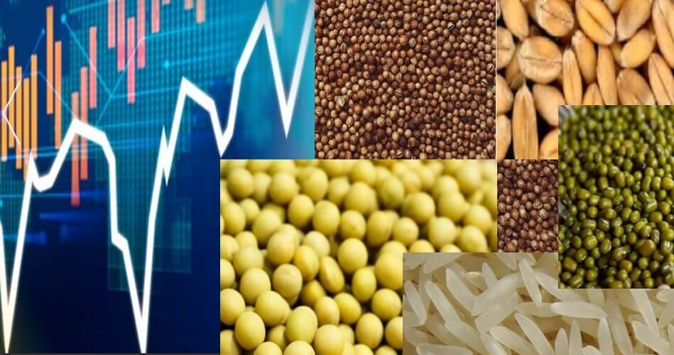 Ban on futures trading in seven agri commodities had a significant impact on NCDEX