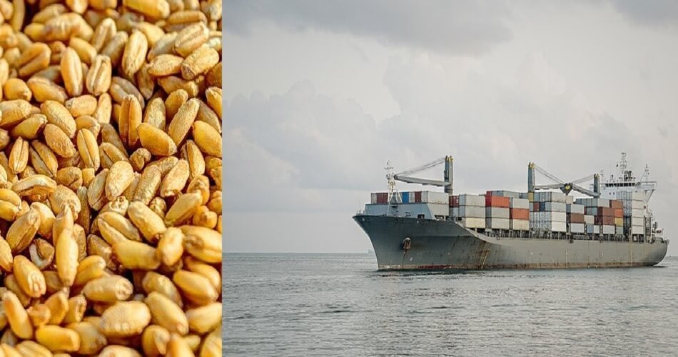 Govt planned to send 10,000ton wheat to Afghanistan, with 4,000ton already sent