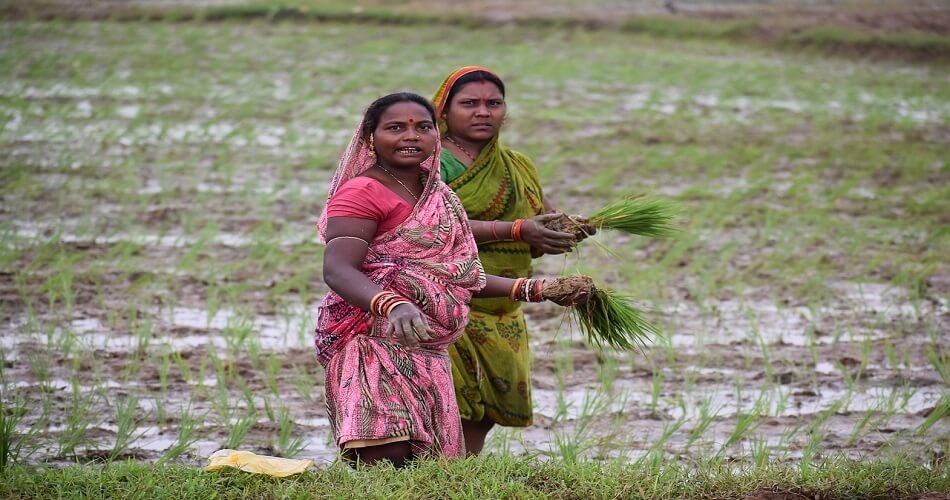 How wives of farmers who commit suicide attempt to live a dignified life
