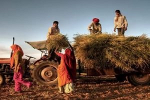Indian Agri sector grew at11% CAGR between 2015-2020 - CII & Bain Report