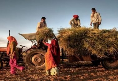 Indian Agri sector grew at11% CAGR between 2015-2020 - CII & Bain Report