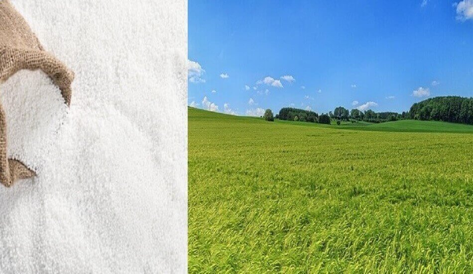 Usage of Urea expected to fall for the first time in five years due various reasons.