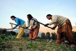 Women's contributions to agri sector, national statistics not captured full scope of work