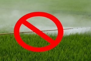 Banning of 27 pesticides decision by Union Agriculture Ministry likely this week