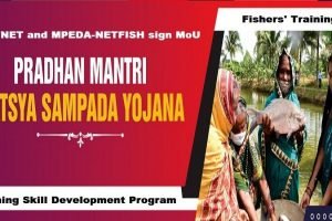 CIFNET and MPEDA-NETFISH sign MoU to hold skills training for fishing community