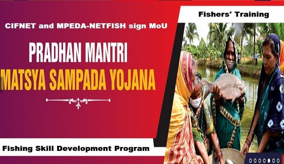 CIFNET and MPEDA-NETFISH sign MoU to hold skills training for fishing community