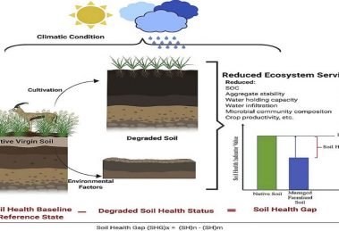 Google, nurture.farm partnered to develop low-cost approach to check soil health