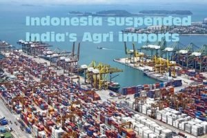 Indonesia suspended import of agri produce from India due to COA issue