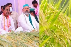 KCR gives PM Modi 24-hour deadline on paddy, warns don't mess up with farmers