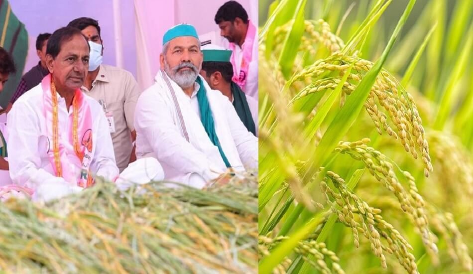 KCR gives PM Modi 24-hour deadline on paddy, warns don't mess up with farmers