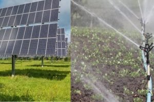 With diesel prices skyrocketing farmers struggle to irrigate crops, Solar pumps best option (1)