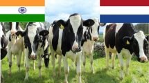 Dutch govt to establish Dairy Trading Center of Excellence (DTCE) in India