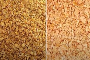 India approved import of 5,50,000 tonnes of GM soymeal to aid poultry industry