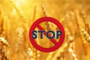 Indian government has put an immediate stop to the export of wheat