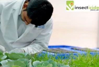 Insecticides (India) Ltd gets two new patents that will last for 20 years