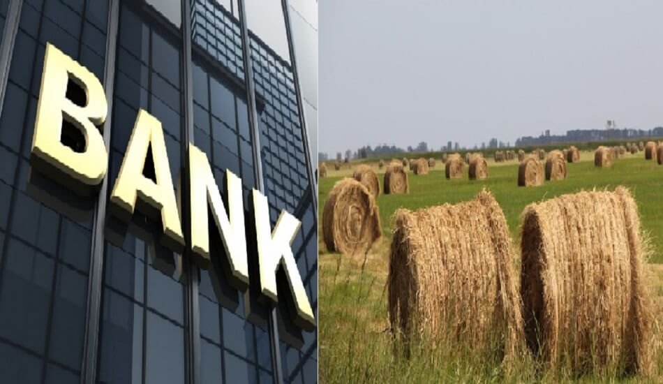 Large banks experience increased stress in agribusiness, MSME, retail sectors in Q4