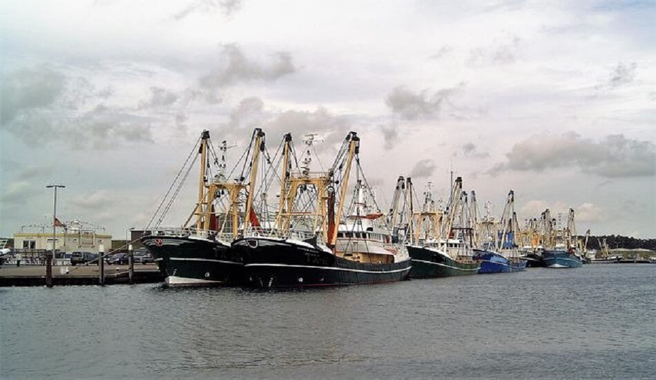 Rising fuel price made difficult Kerala's traditional, mechanised fisheries industries (1)