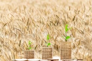 Syngenta and Jai Kisan bank sign a deal to give small farmers affordable loans
