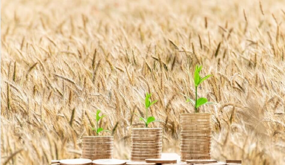 Syngenta and Jai Kisan bank sign a deal to give small farmers affordable loans