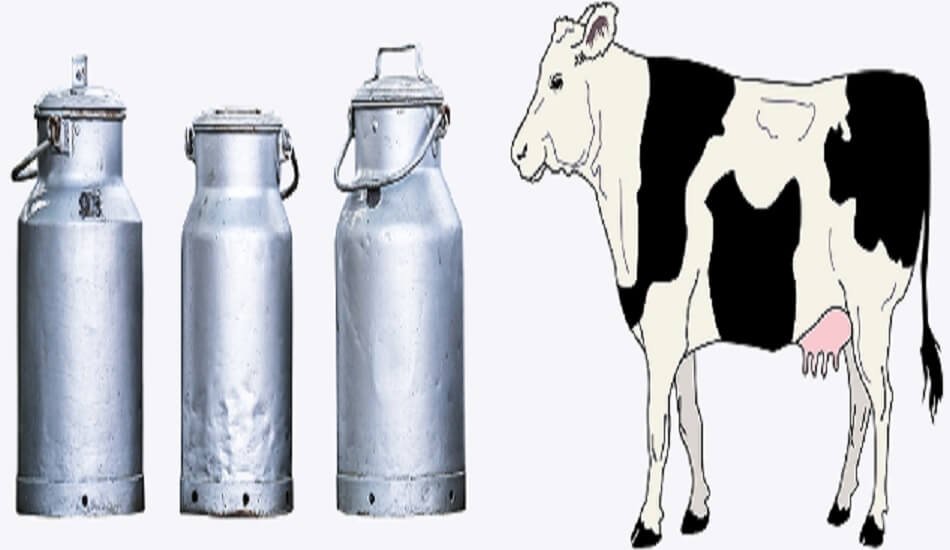 Dairy farmers can now get milk chilled at procurement centers that avoids spoilage