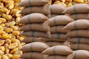 India's wheat export ban made global food market even more unstable- at WTO