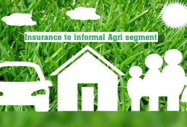 Insurance to informal Agri segment by Mahindra & Mahindra's MIBL and BigHaat.