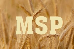MSP had almost no impact on 12 of the 14 crops covered by the scheme - Analysis