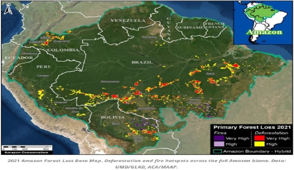 "Peru's failing protect Amazon rainforest"