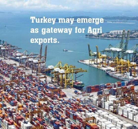 "Turkey may emerge as gateway for Agri exports, primarily wheat in Black Sea region"