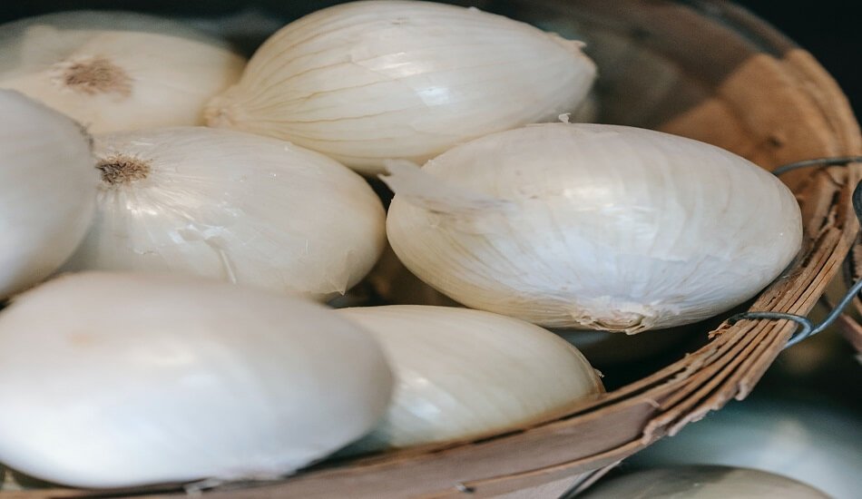 GI tag for Alibag white onion would cheer farmers with the higher price