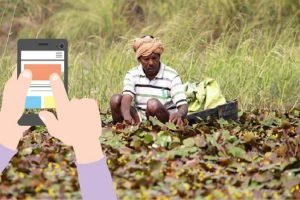 Govt launches 11th Agri Census 2021-22, using smartphones, tablets to collect data