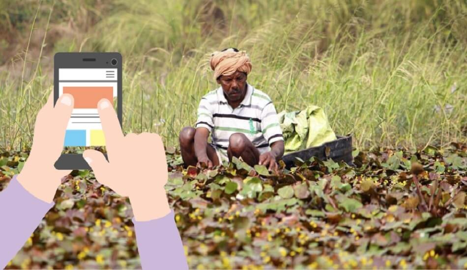 Govt launches 11th Agri Census 2021-22, using smartphones, tablets to collect data