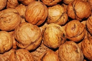 J&K walnut sector claims that under-invoiced imports harming local livelihoods